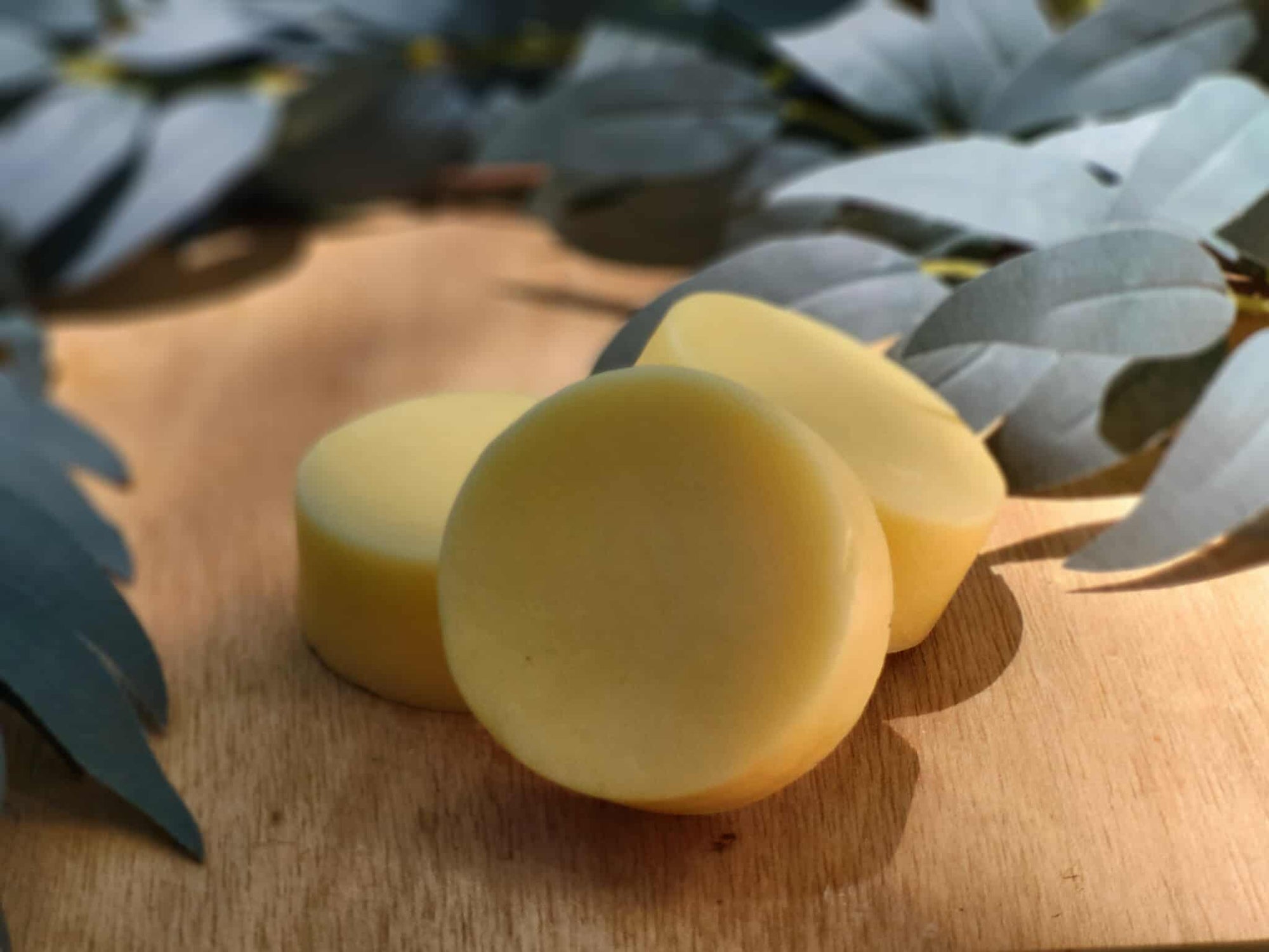 Love Potion Conditioner Bars with Mango and Shea Butter